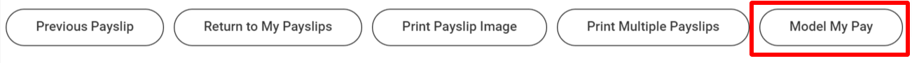 Payslip-Workday.png