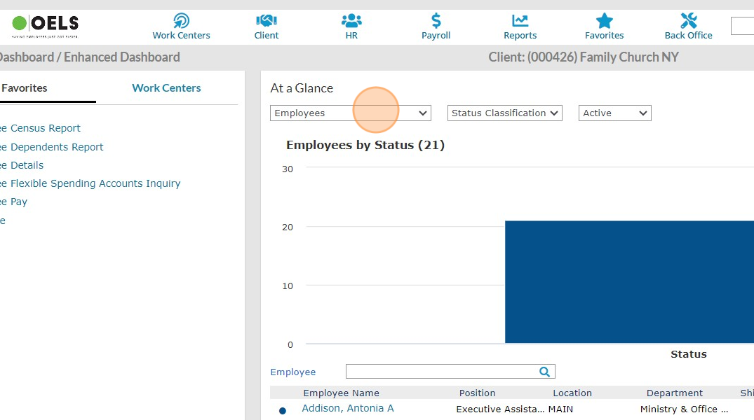 Screenshot of: At a Glance provides you different views of client / employee information.