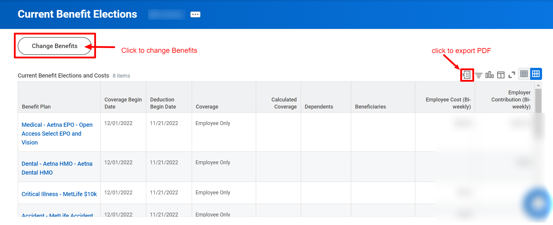 Current-Benefit-Elections-Workday (3).png