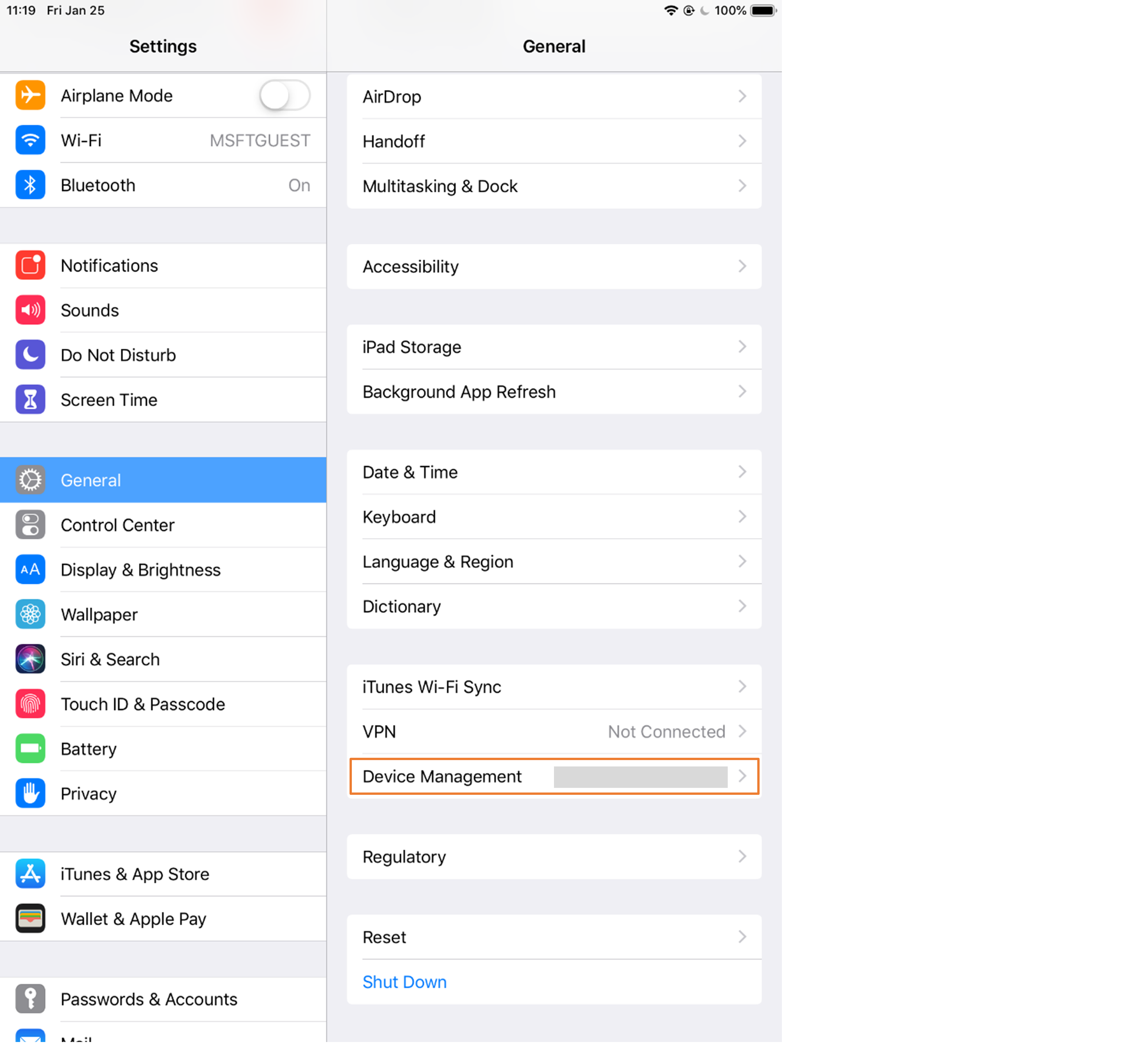 iOS device UI - Device Management