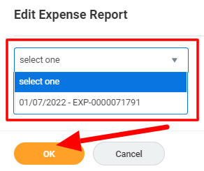 edit expense report.png