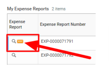 edit expense report 3.png