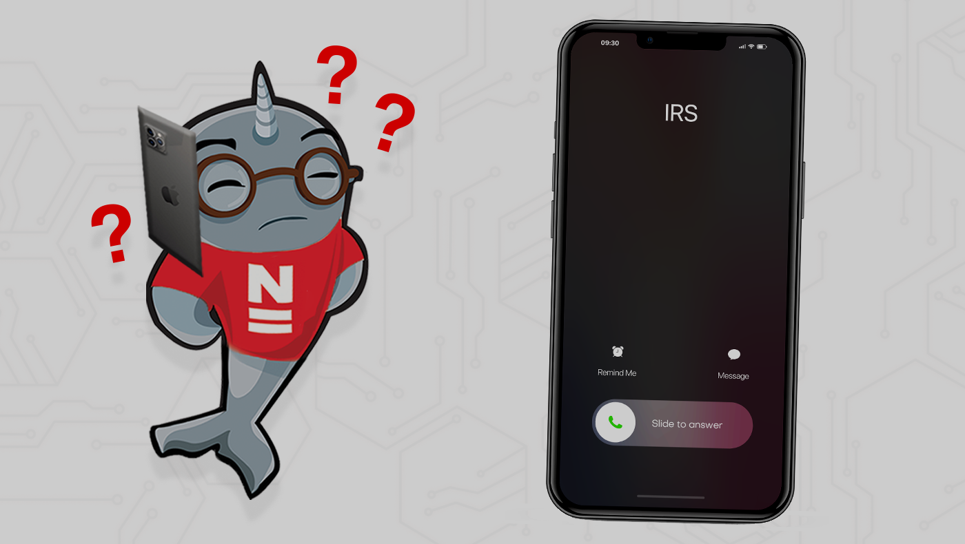 Illustration of Gnarls receiving a spam call from the 'IRS' with a phone showing 'IRS' as the caller.