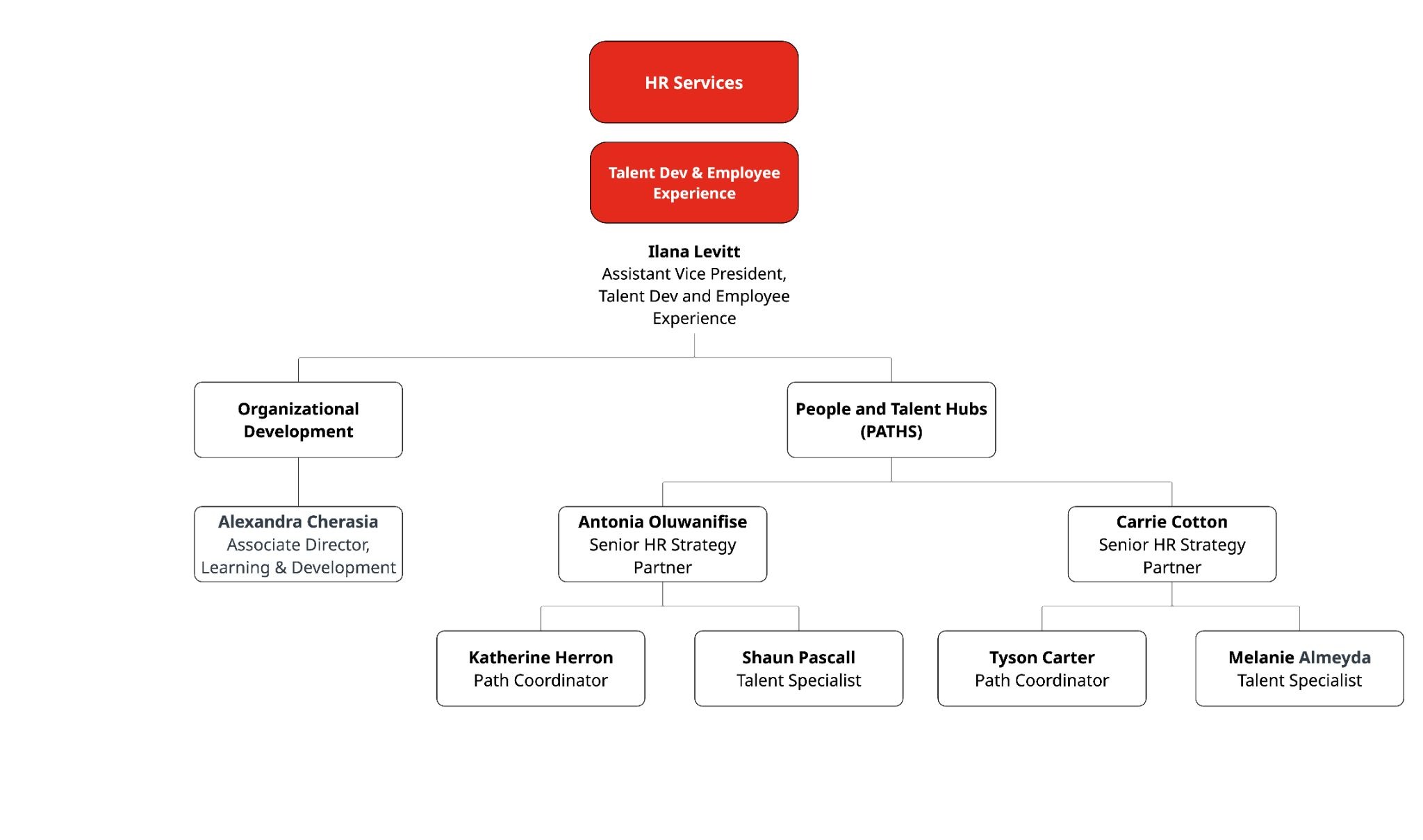 An organizational chart depicting the People and Talent Hubs chain of command.